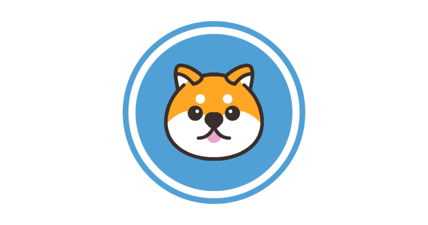 CoinSearch（コインサーチ）暗号資産・仮想通貨をコイン名や通貨記号で検索できるサイト［ Baby Doge Coin（BabyDoge）］